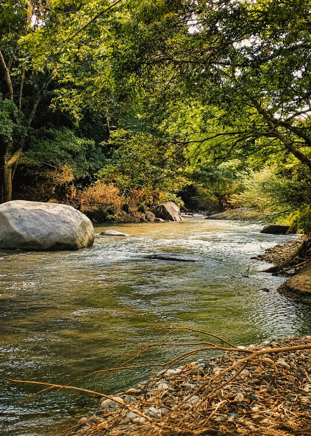 Río Piedras y naturaleza colombiana